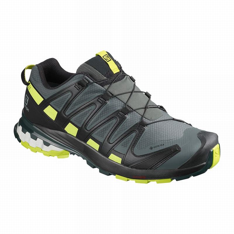 Chaussures De Trail Running Salomon Homme Noir / Vert Clair - Salomon XA PRO 3D V8 GORE-TEX - France